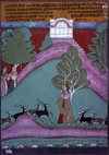 Ragini Todi