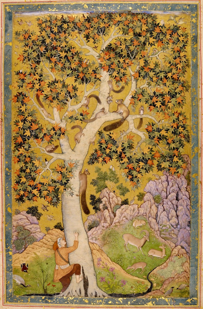 Imagining the Nonhuman: Mughal King Jahangir’s Folios of Mammals, Birds, Plants